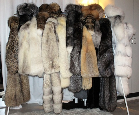 furcoatfun onlyfans leaked picture 1