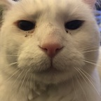 Profile picture of heartt