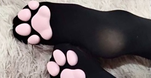 kittyfeetsxo onlyfans leaked picture 1