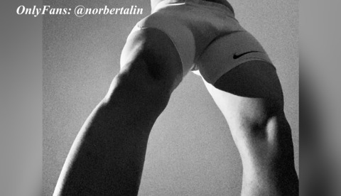 norbertalin onlyfans leaked picture 1