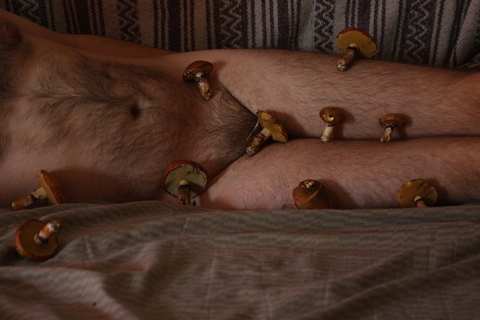 onlymushrooms onlyfans leaked picture 1