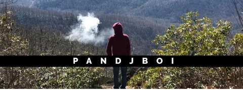 pandjboi onlyfans leaked picture 1